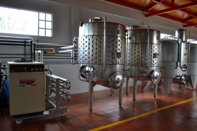 cave-FREJUS-min_wine_production_cantine_winery_drink_alcohol_vine_beverage-902036